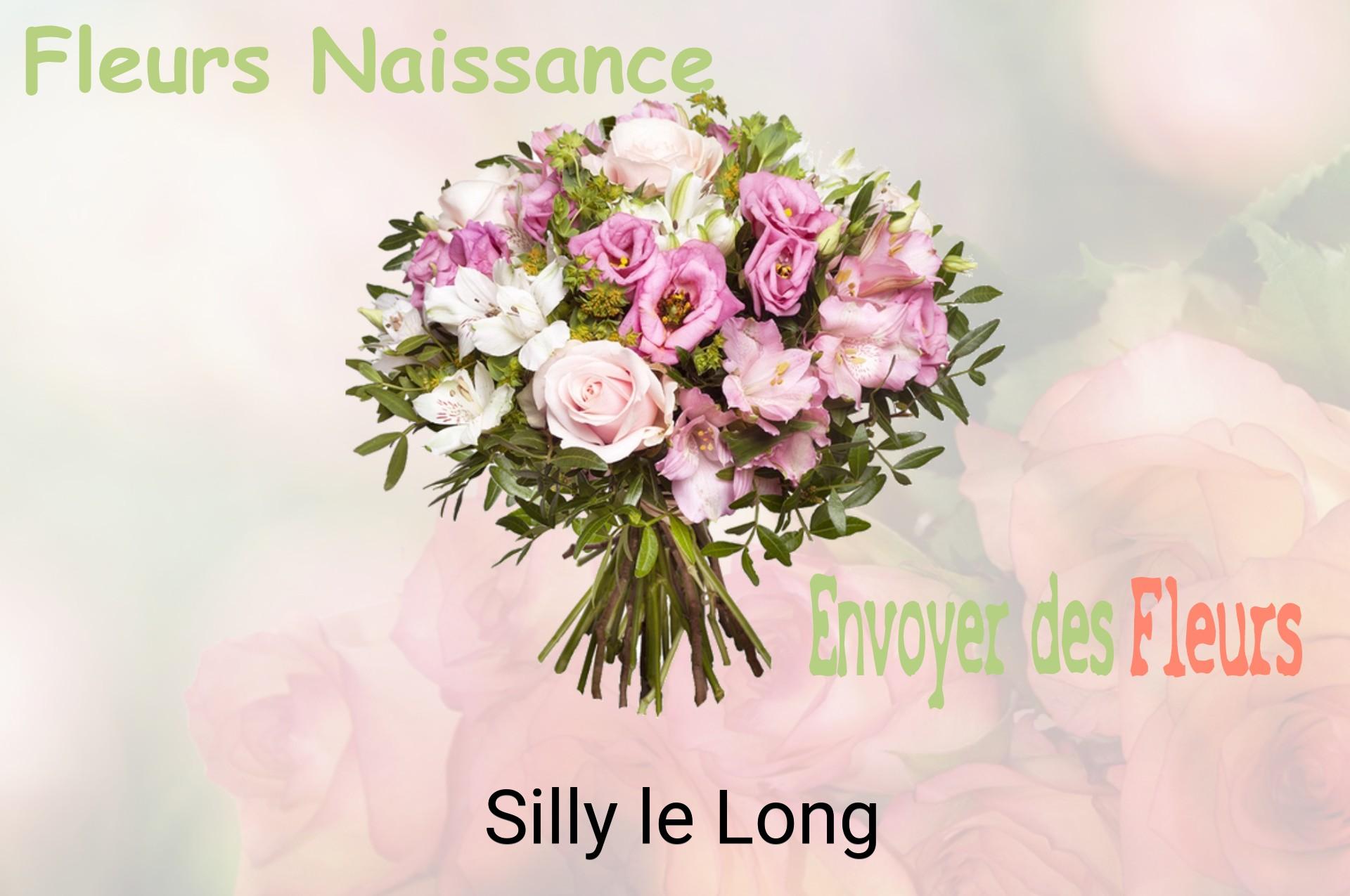 Bouquet de fleurs de naissance livré à Silly-le-Long